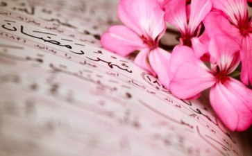 Quran-and-Pink-Flowers